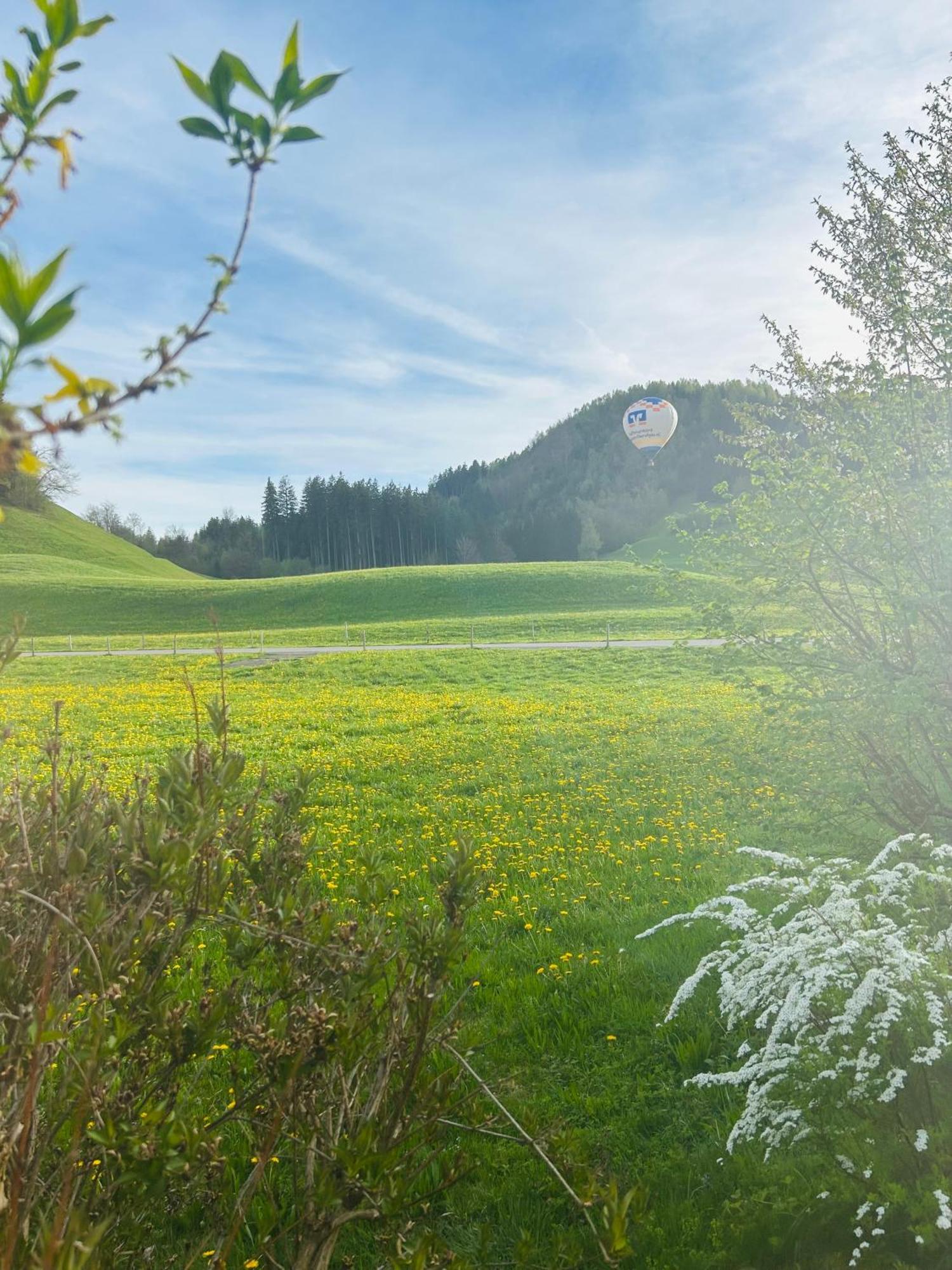 Schoenes Apartment Mit Traumhaftem Bergblick! Bihlerdorf Exterior foto